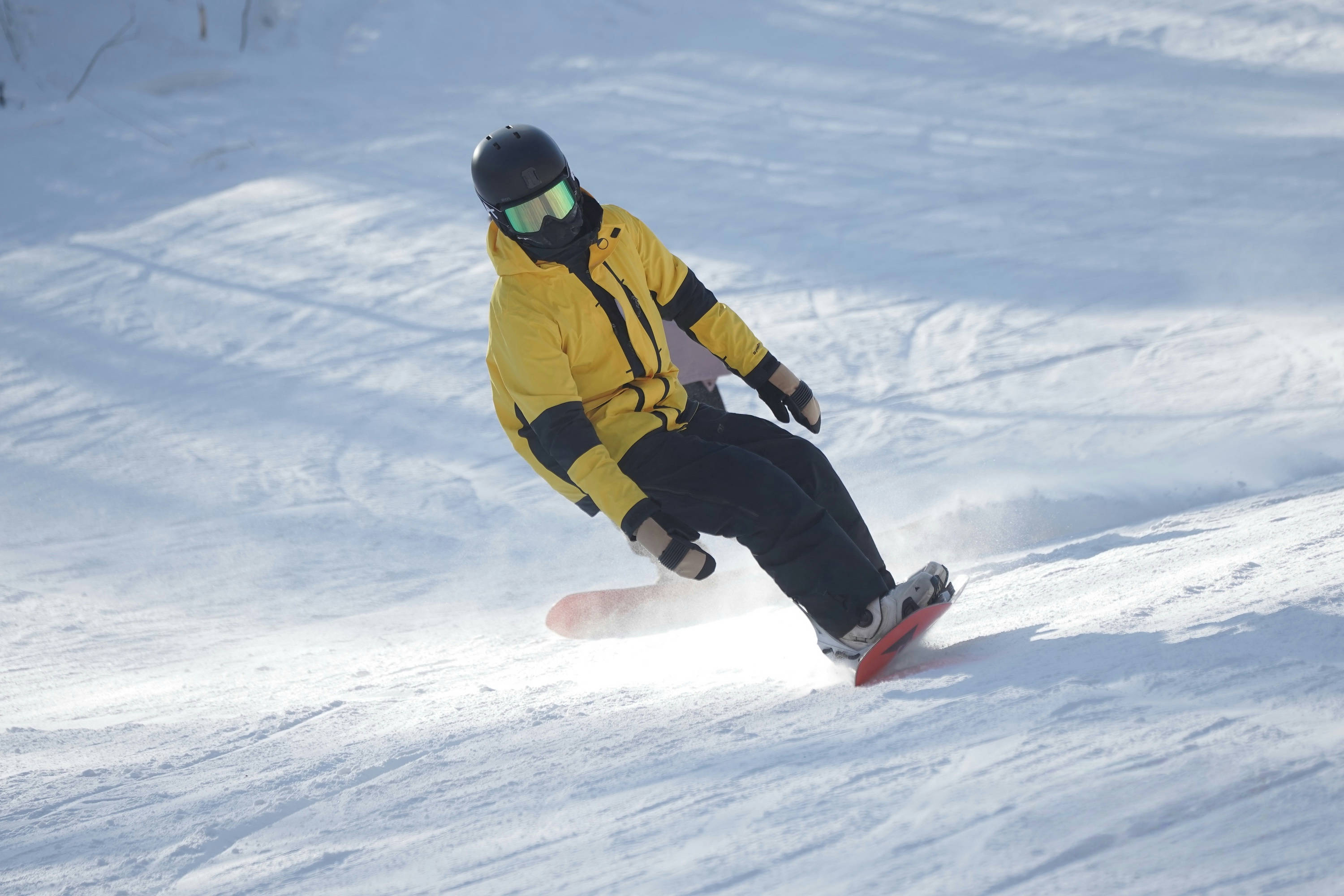 BASI Instructor Course